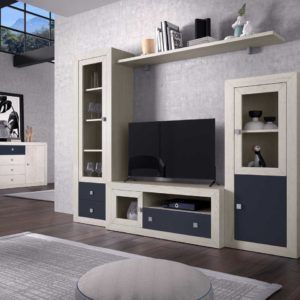 Muebles de salón moderno modular